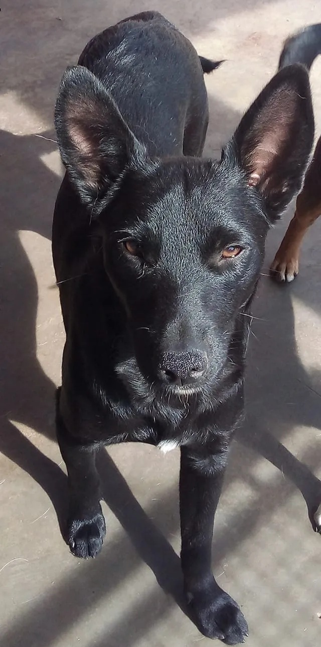 FREDERICO - Foto 2