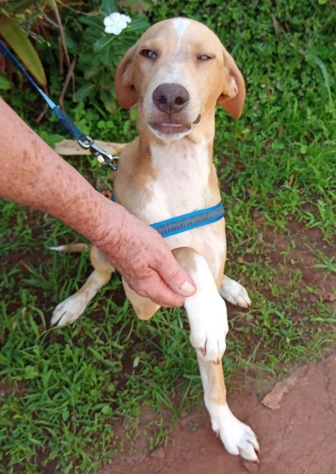 RôMULO